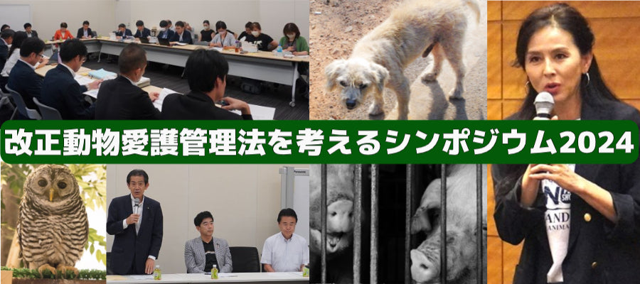 「改正動物愛護管理法を考えるシンポジウム2024」開催のお知らせ