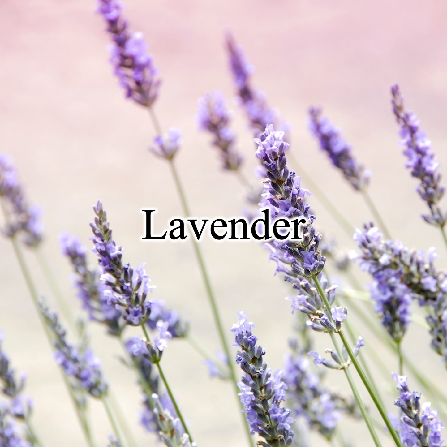 Room Spray / Lavender