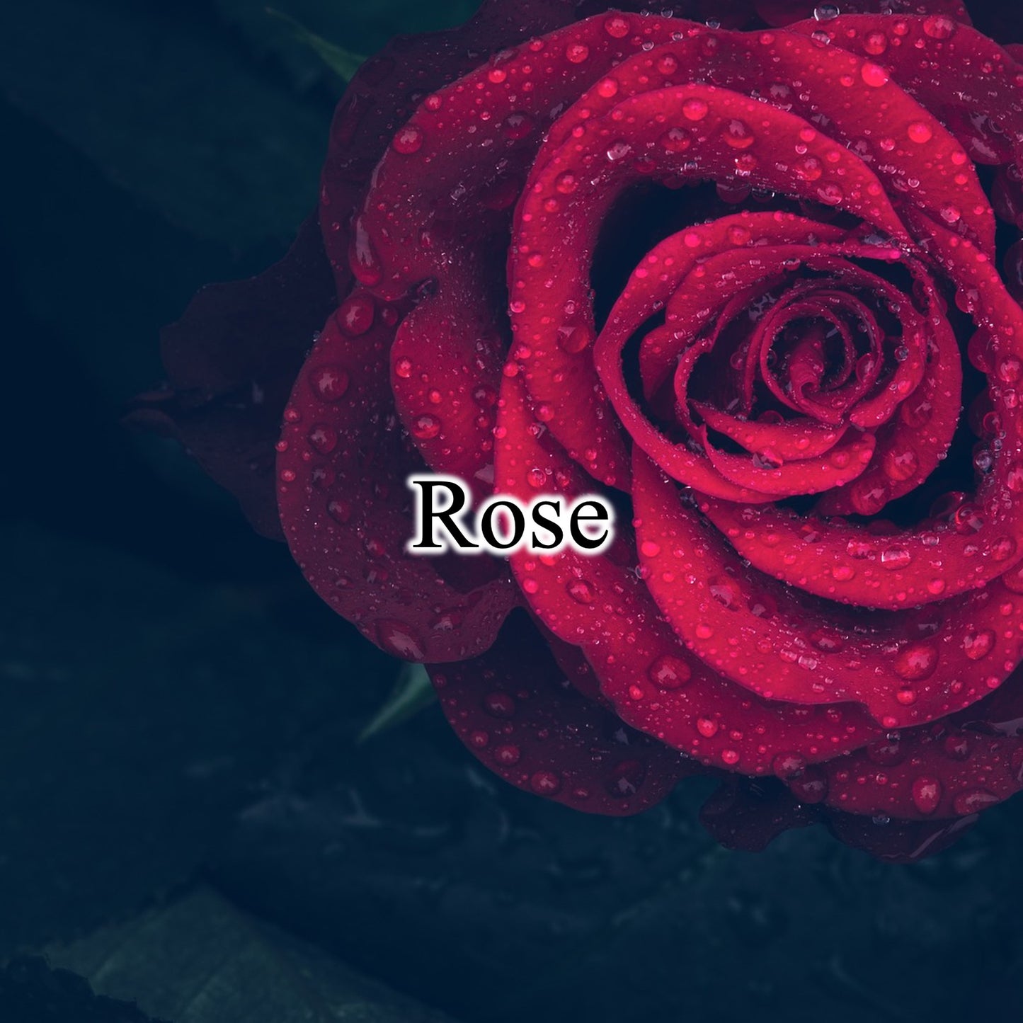 Room Spray / Rose